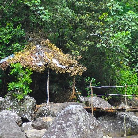 Bed and Breakfast Jungle Tree House Rangala Kandy Exteriér fotografie