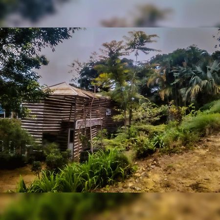 Bed and Breakfast Jungle Tree House Rangala Kandy Exteriér fotografie