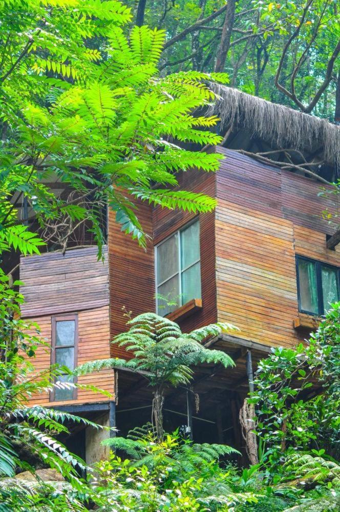 Bed and Breakfast Jungle Tree House Rangala Kandy Exteriér fotografie