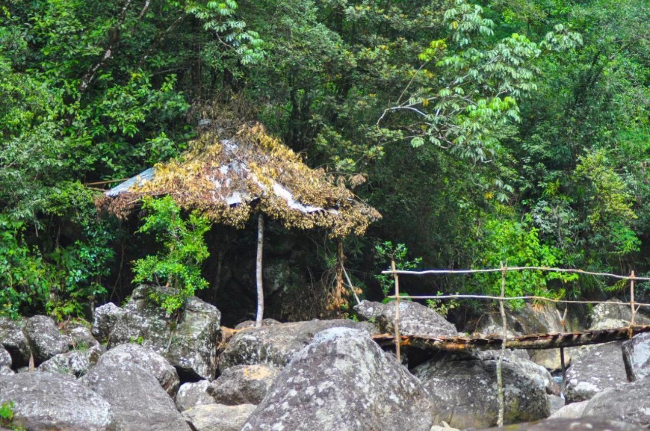Bed and Breakfast Jungle Tree House Rangala Kandy Exteriér fotografie